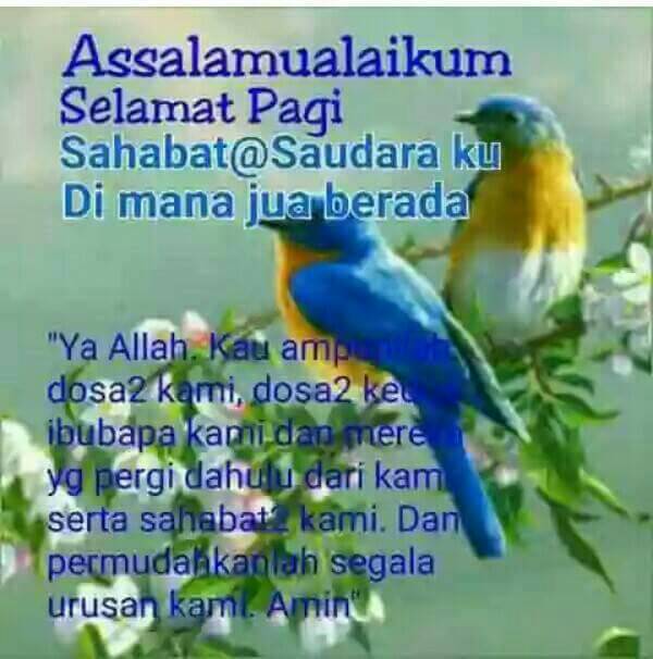 Aziz Bin Razali Azizsawi