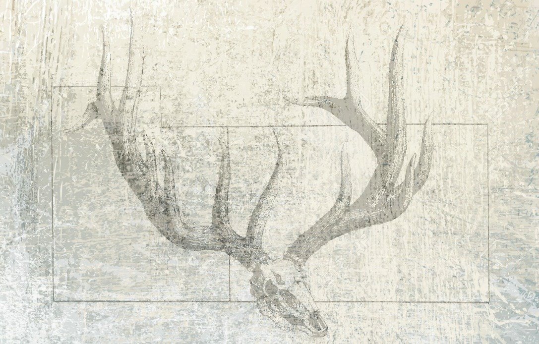 Redd Ranches Guides & Outfitters | Monticello UT