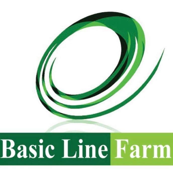 สวนมะนาว ลูกกบ กบเนื้อ เชียงใหม่ by Basic Line Farm | Amphoe Mae Taeng