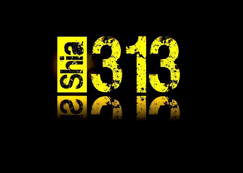 Team313