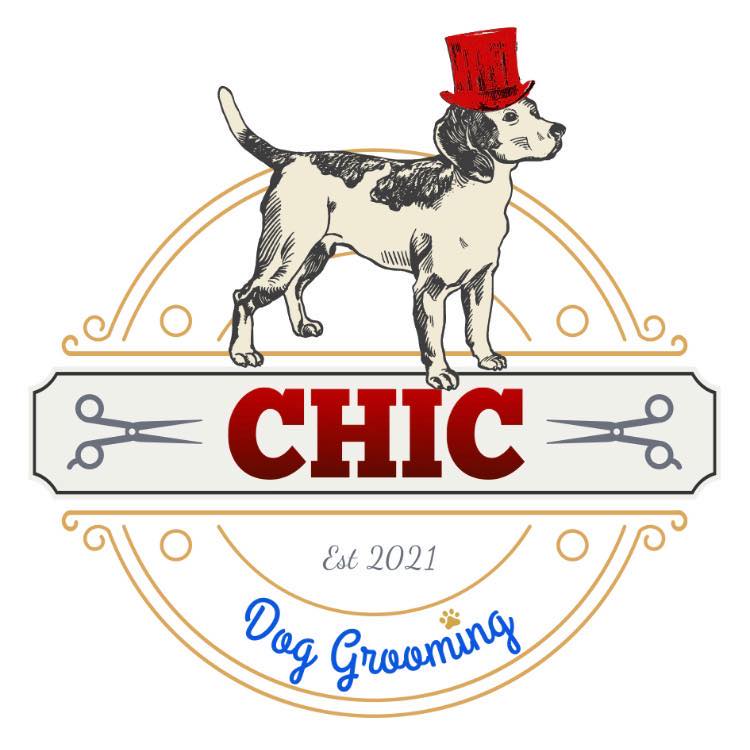 Curated visual reference: Gallery Detail: Chic Dog Grooming Salon