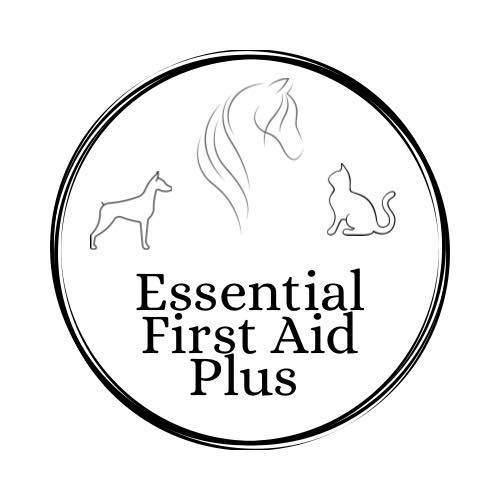 Essential First Aid Plus | Aurora ON