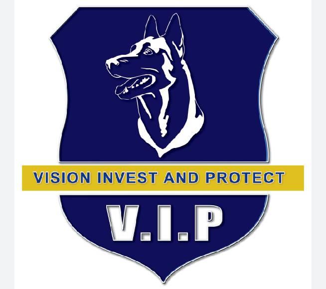 Vision Invest and protect-VIP
