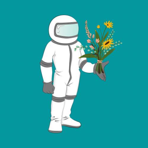 Spaceman Flowers
