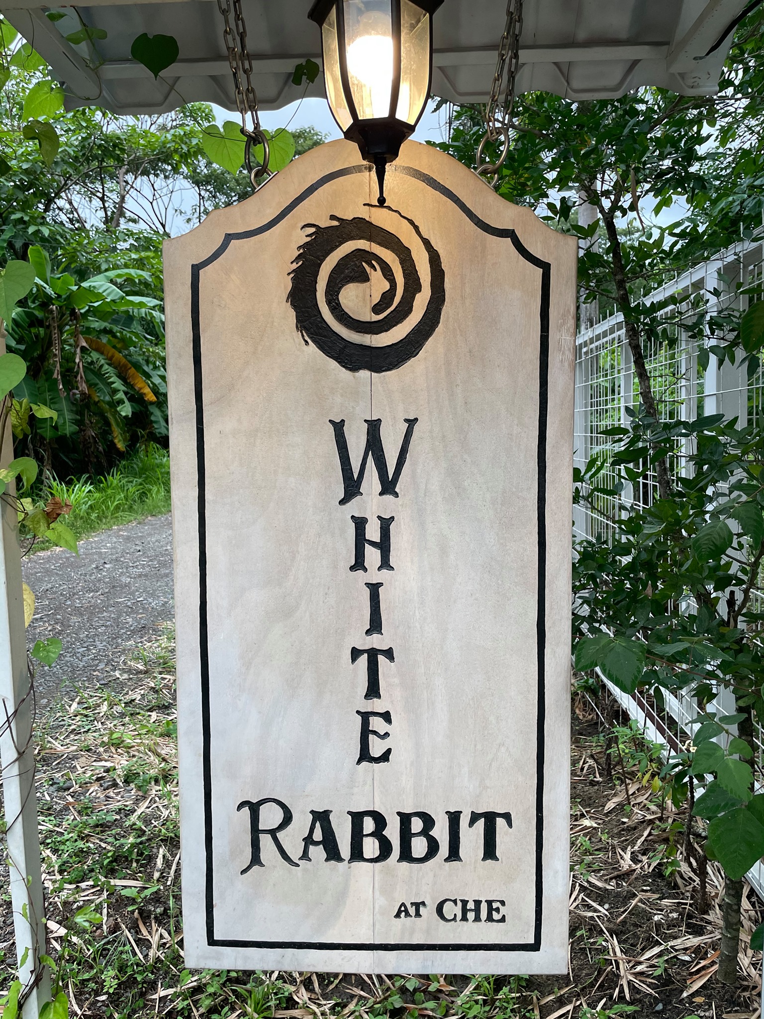 White Rabbit Lounge at Che | Nosara