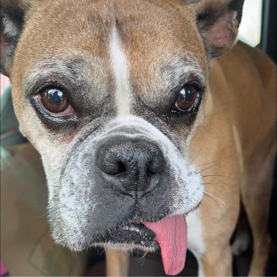 Dilly - I got to spend all day outside helping pop and... | Facebook