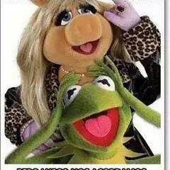 La ranita rene y sus memes