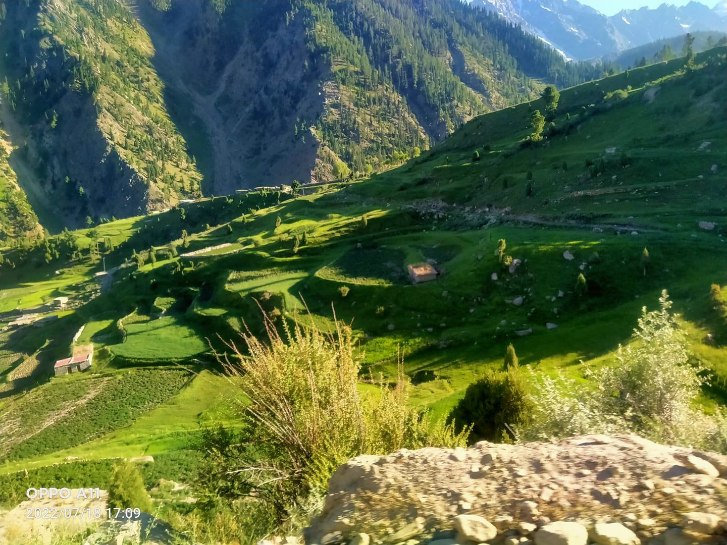 Fiaz tulkhan