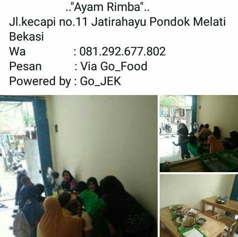 Ayam Rimba