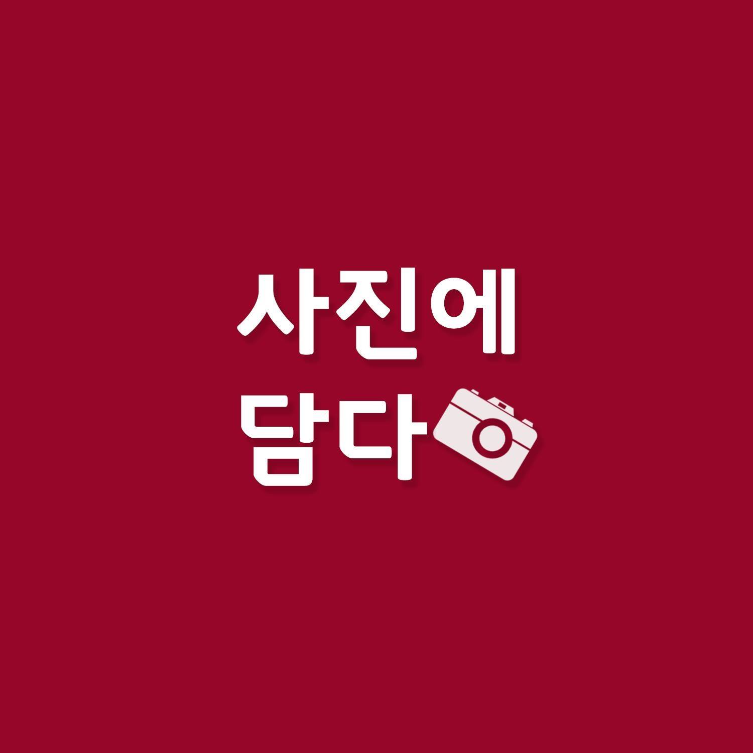 사진에 담다