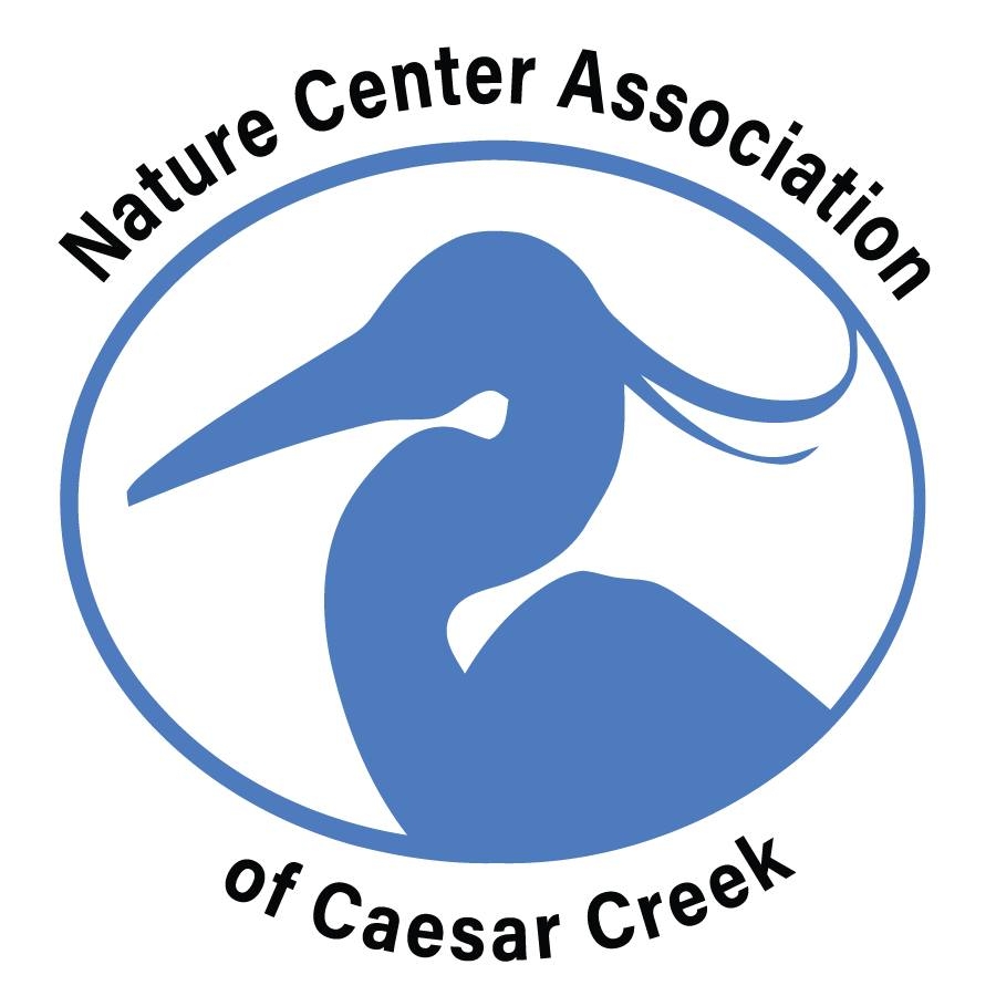 West Hawk Lake Meteor Fest | Mark your calendars for another fun-filled ...