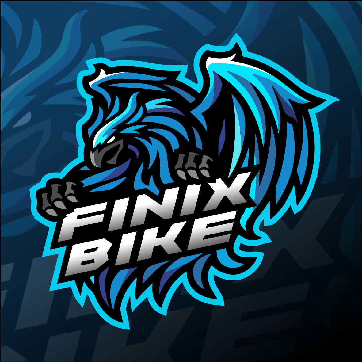 Finix Bike | San Borja