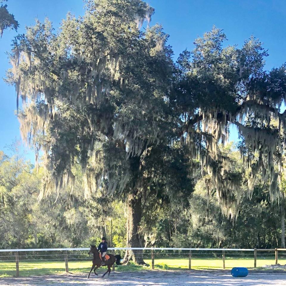 Threshold Farm | Titusville FL