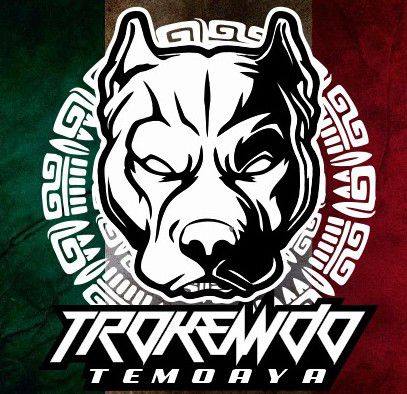Trokeando ANDO CLUB Temoaya | Temoaya