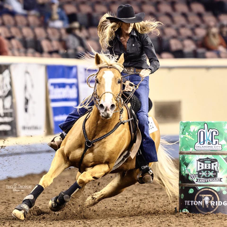 Michelle Trahan Performance Horses | DeRidder LA