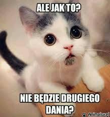 Blog o memach zwierzęcich