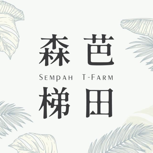 Sempah T-Farm 森芭梯田 | Kampung Bukit Tinggi