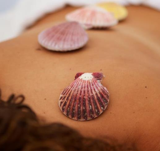Sea Shell Massage | Manheim PA