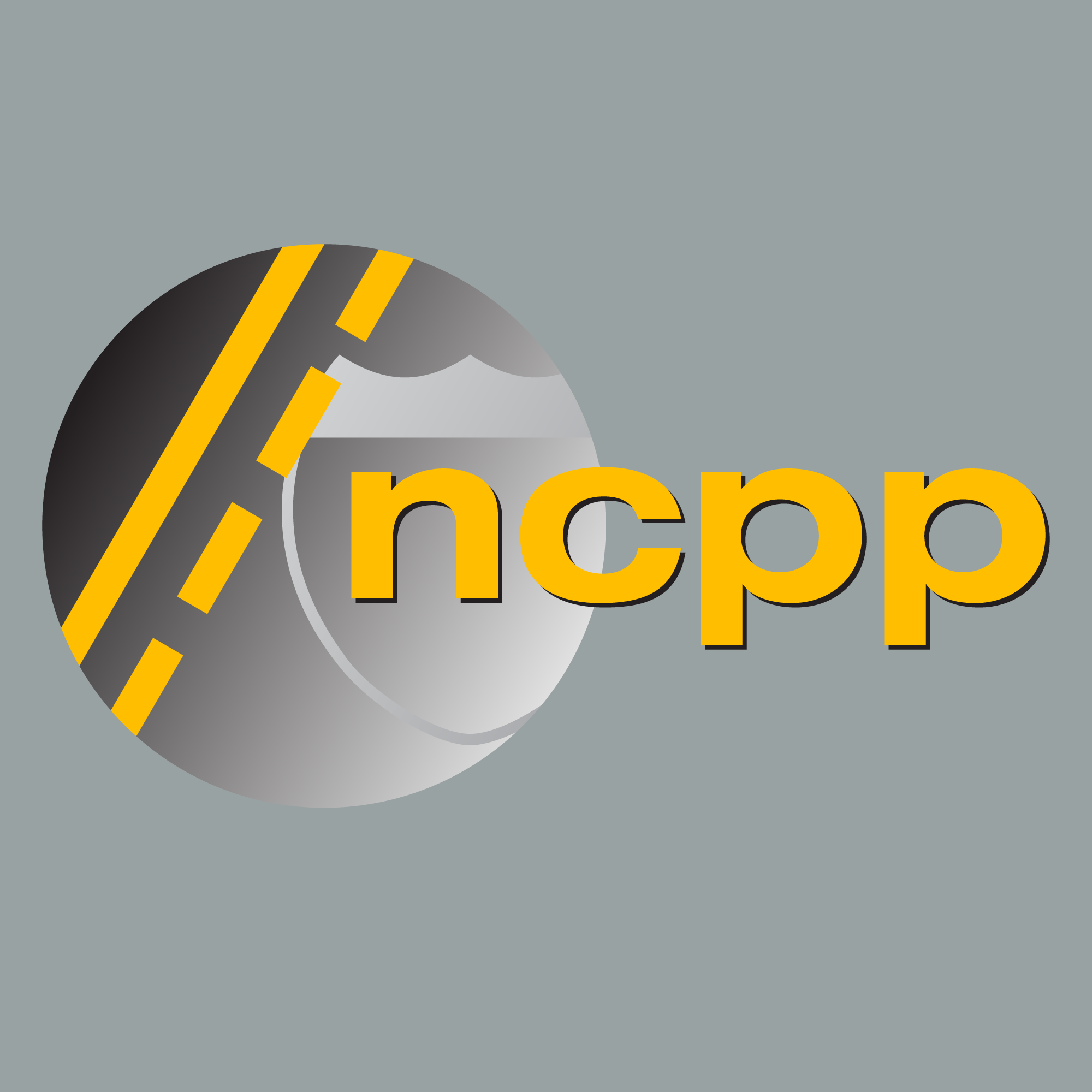 National Center for Pavement Preservation - NCPP | Okemos MI