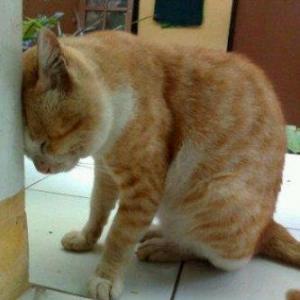 Masa Remaja Kurang Bahagia | Community