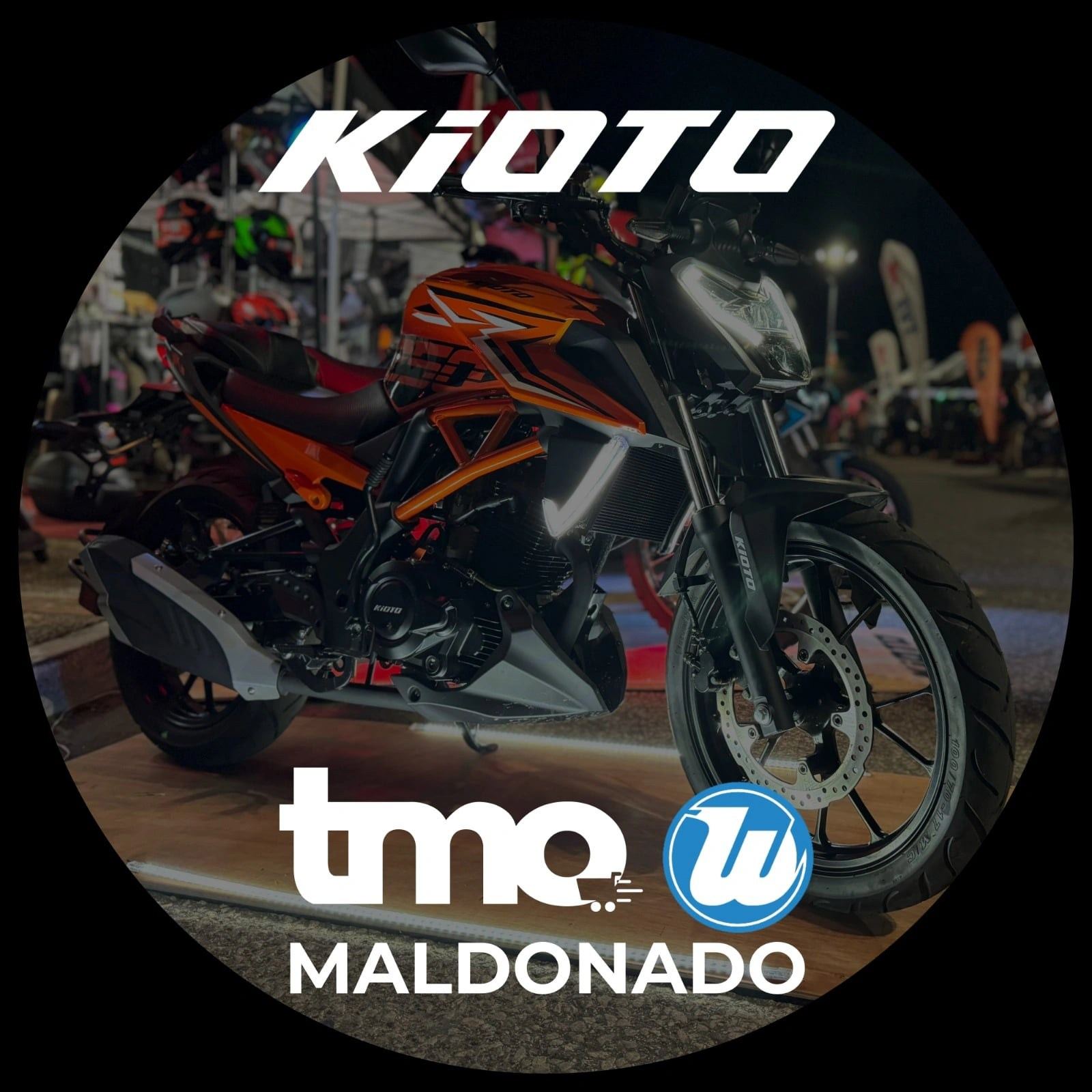 GP Store | Maldonado