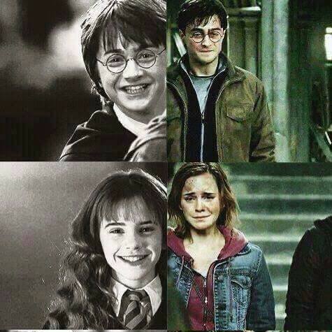 Potterhead.