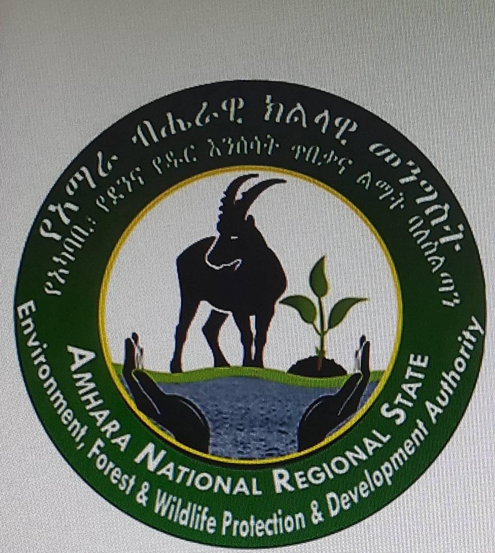 የደሴ ከተማ አካባቢ ጥበቃ ፅ/ው/ፅ/ቤት