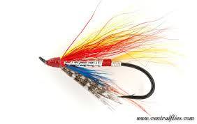 Profile for Miami Fly Fishing