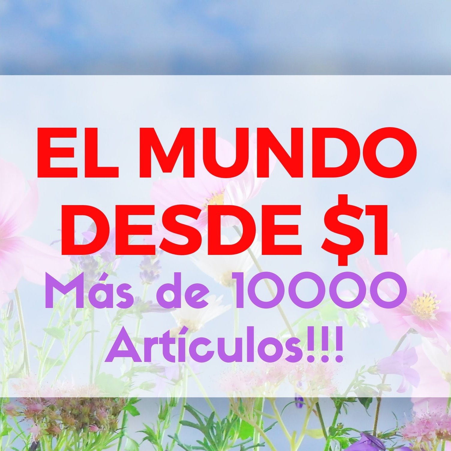 El mundo desde $1 - Javier Prediger