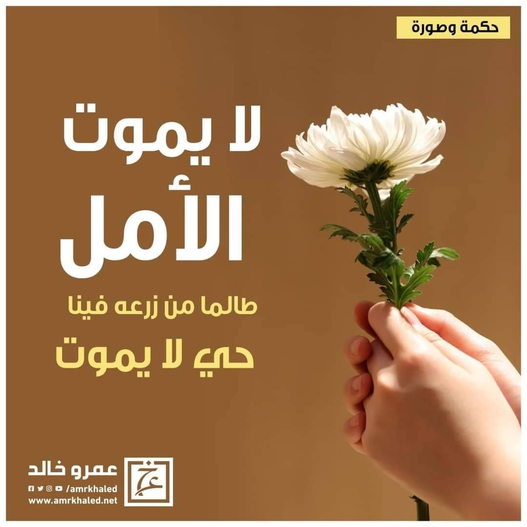 الأمل
