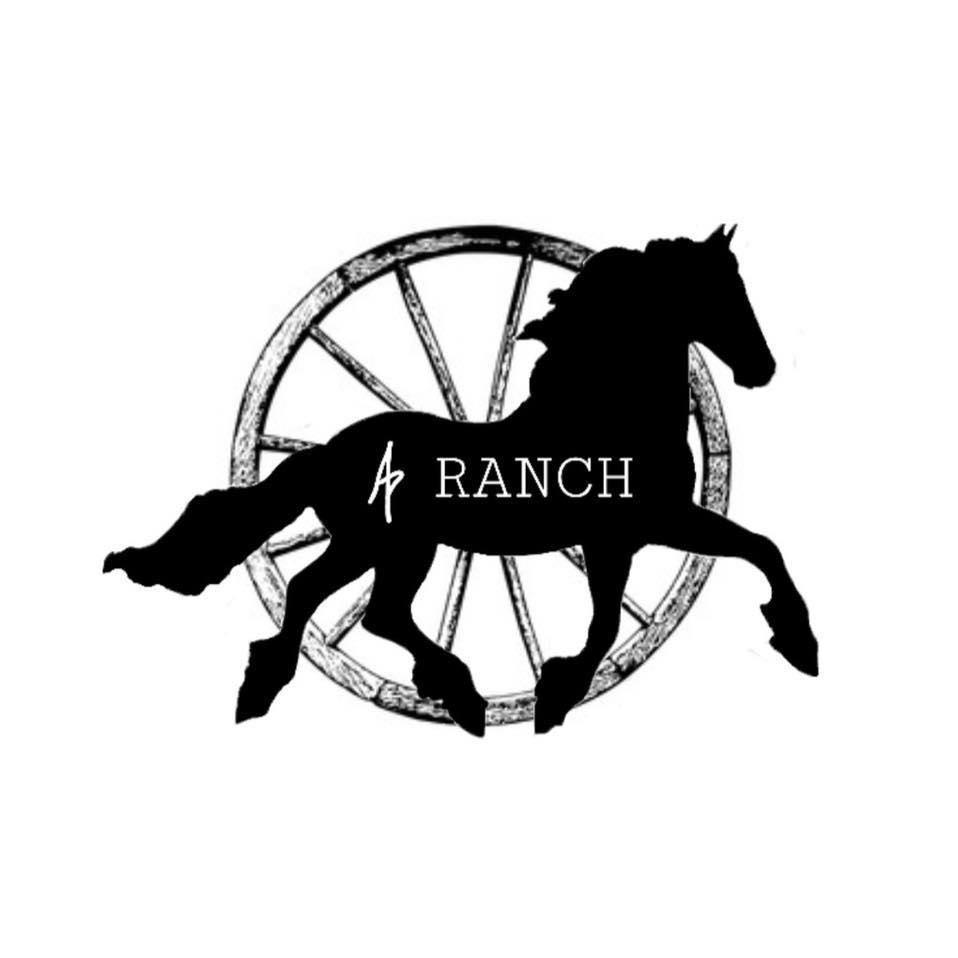 A.P Ranch - Horse Riding Center | Limassol