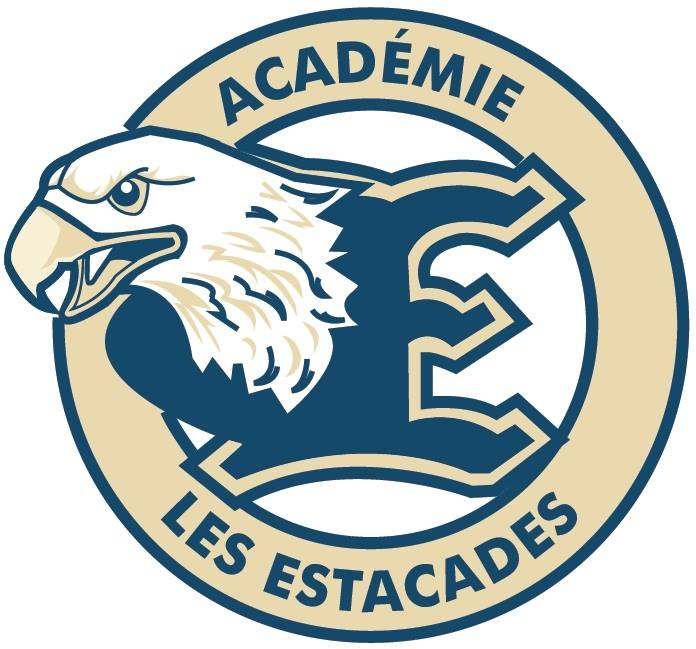 Estacades Hockey Scolaire RSEQ | Trois-Rivières QC