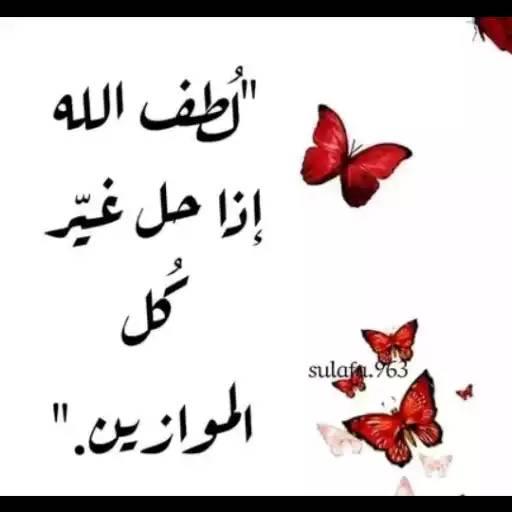 ا ل ن ش م ي