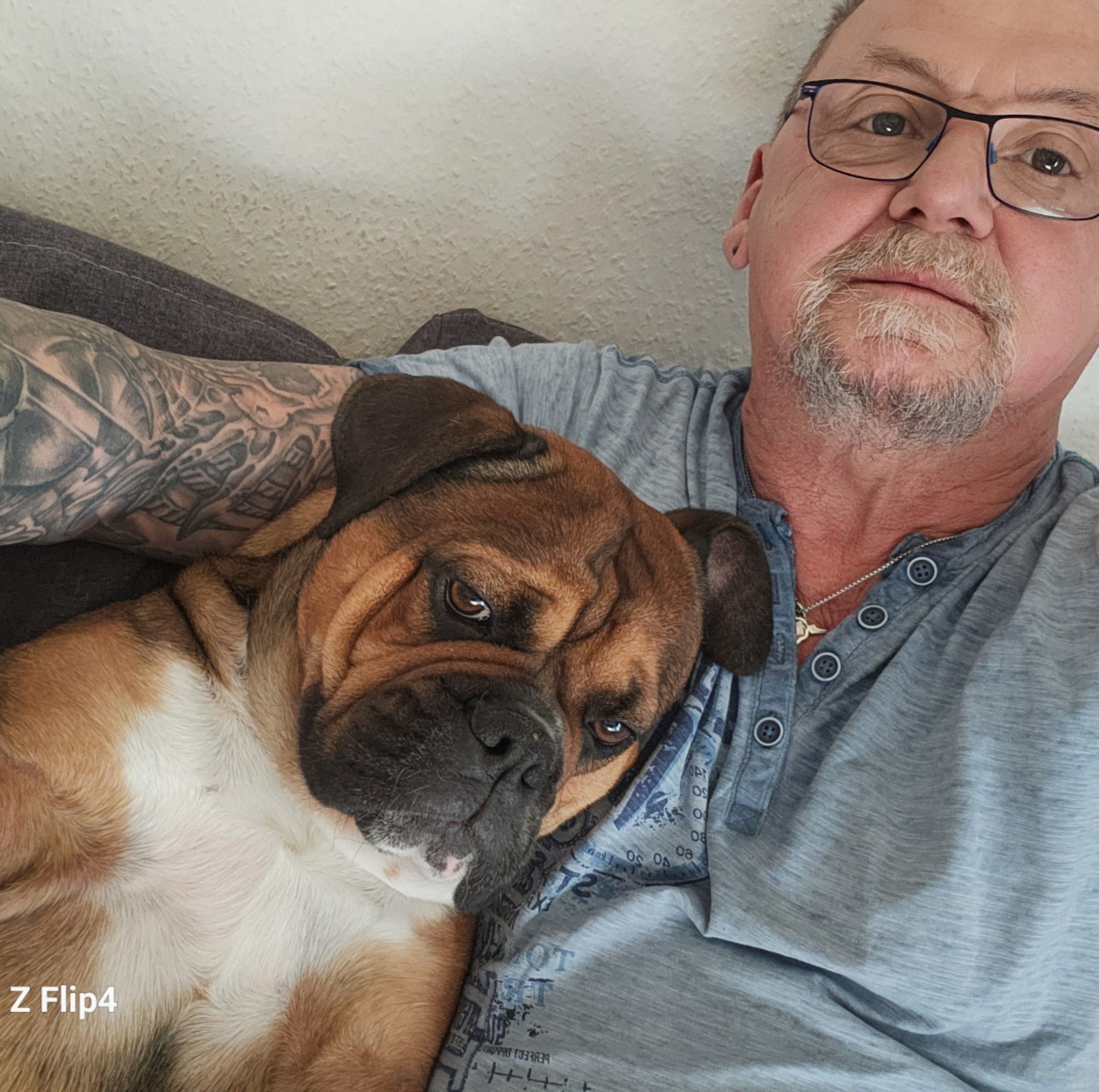 ulrich-siegmund-afd-fans-das-ist-frau-k-nig-facebook