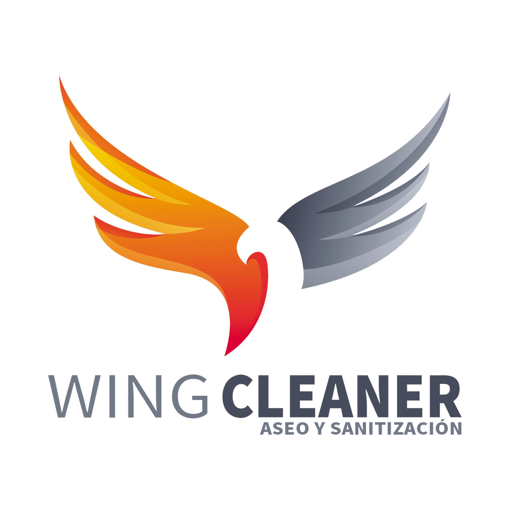 Wing Cleaner
