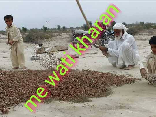 MeWati kharan