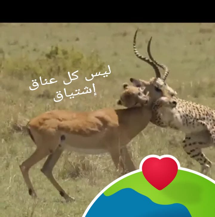 ما حدا لحدا