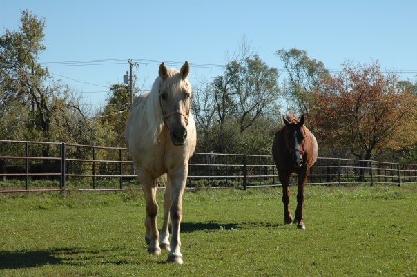 Shilo Ranch | Hobart IN