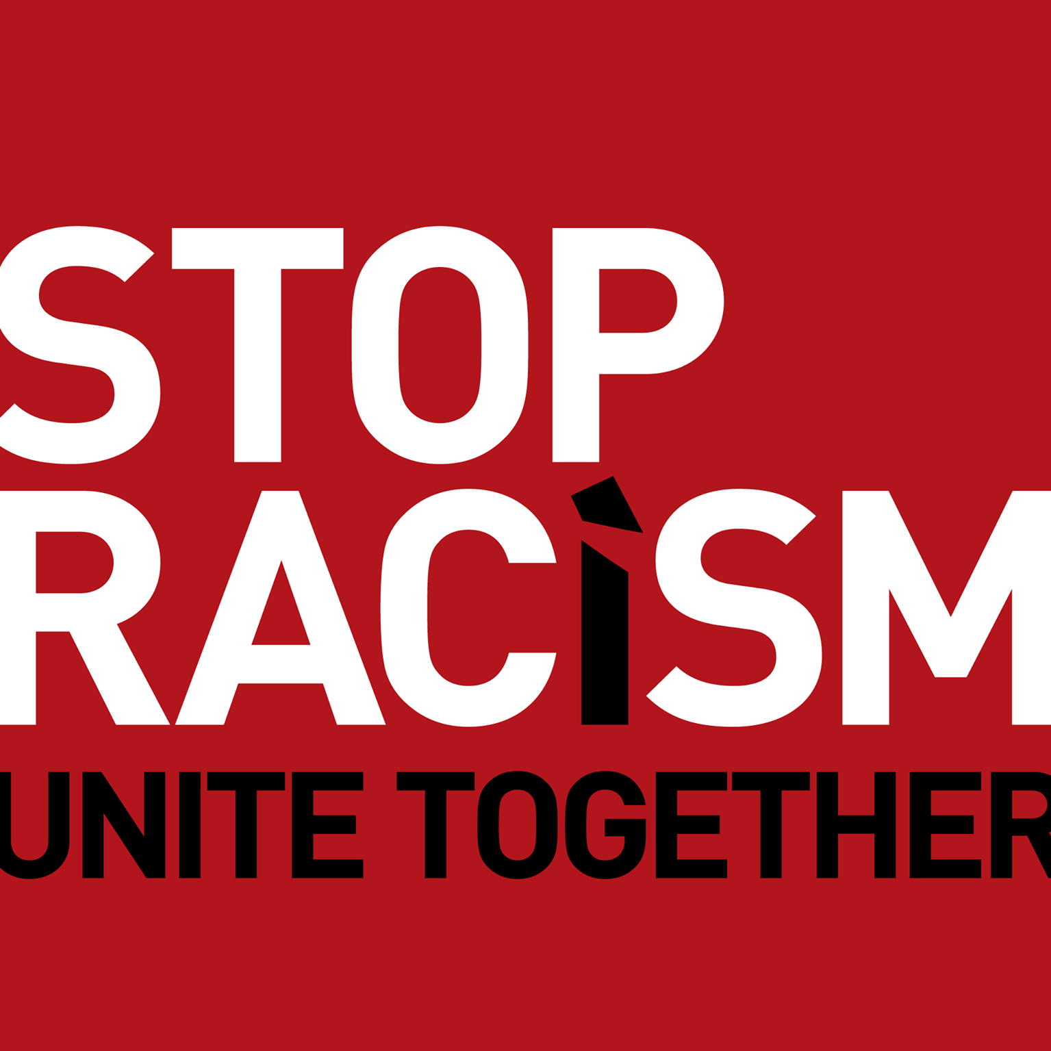 The Fight Against Racism Project