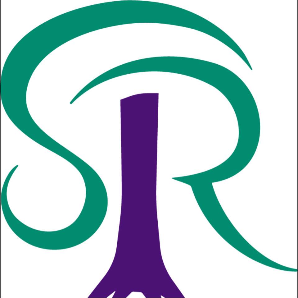 Southern Roots Winterguard