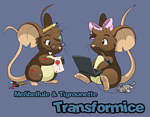 Tansformice ZN