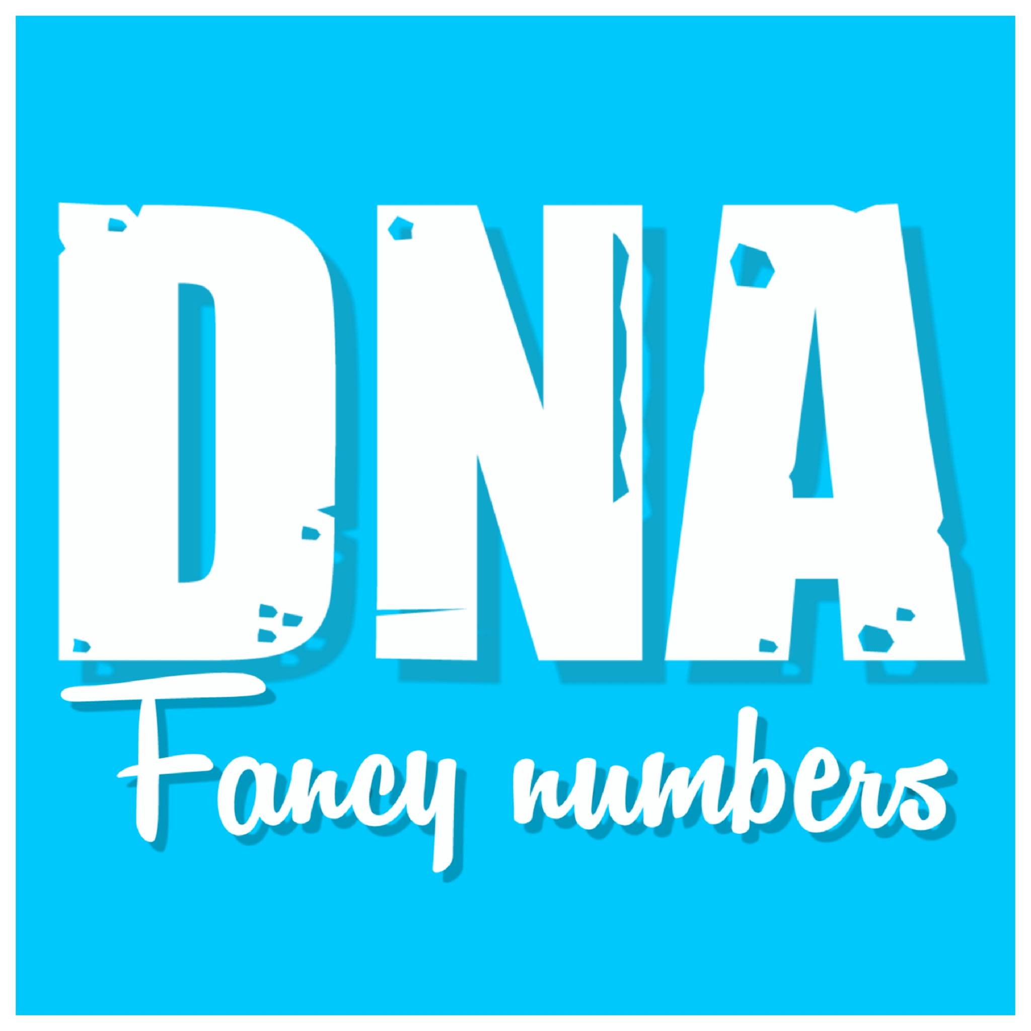 DNA Fancy Numbers