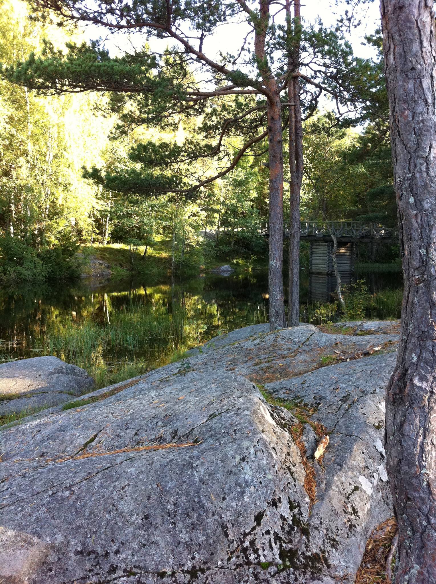 mosseskogen-vel-moss