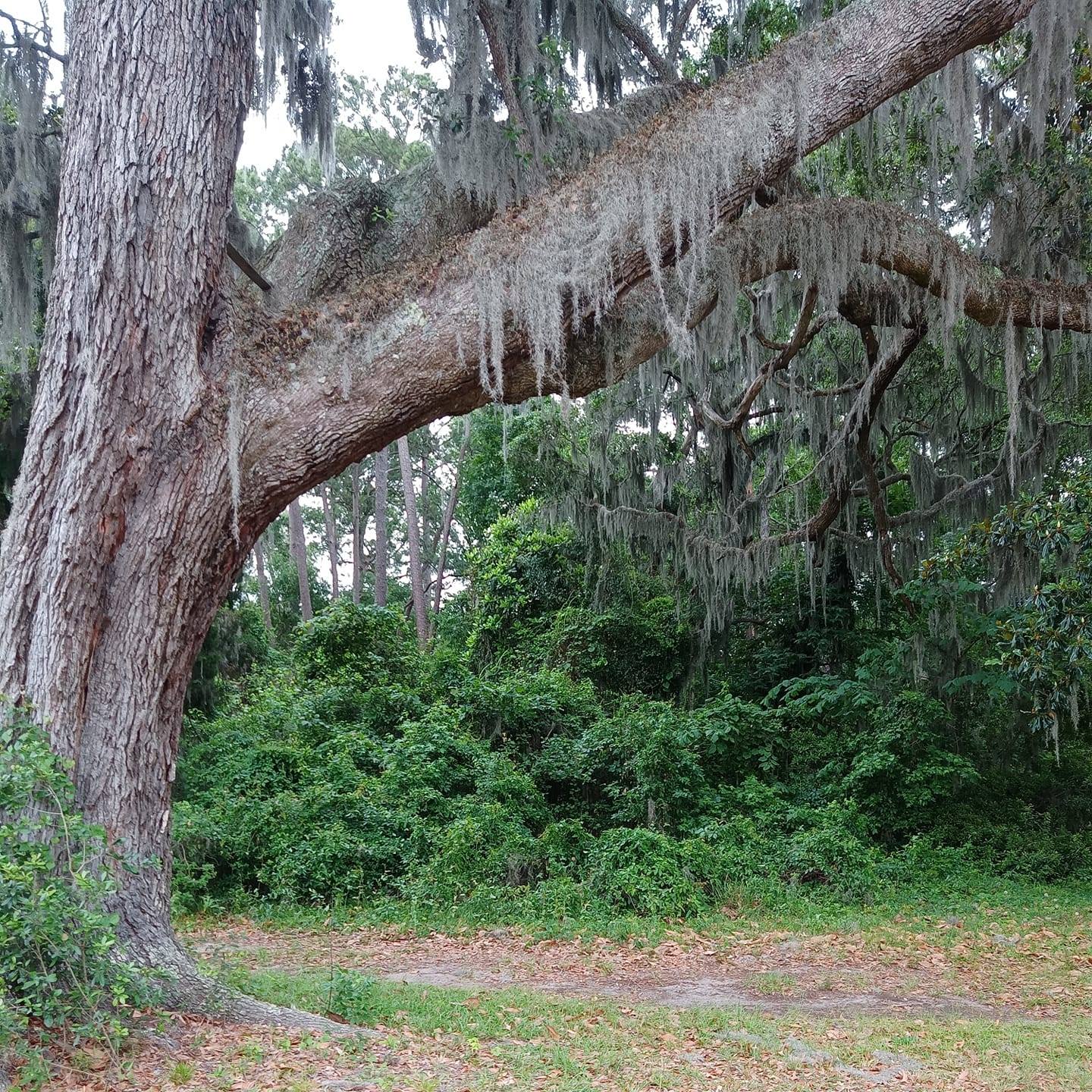 Strathyhall cemetery | Richmond Hill GA