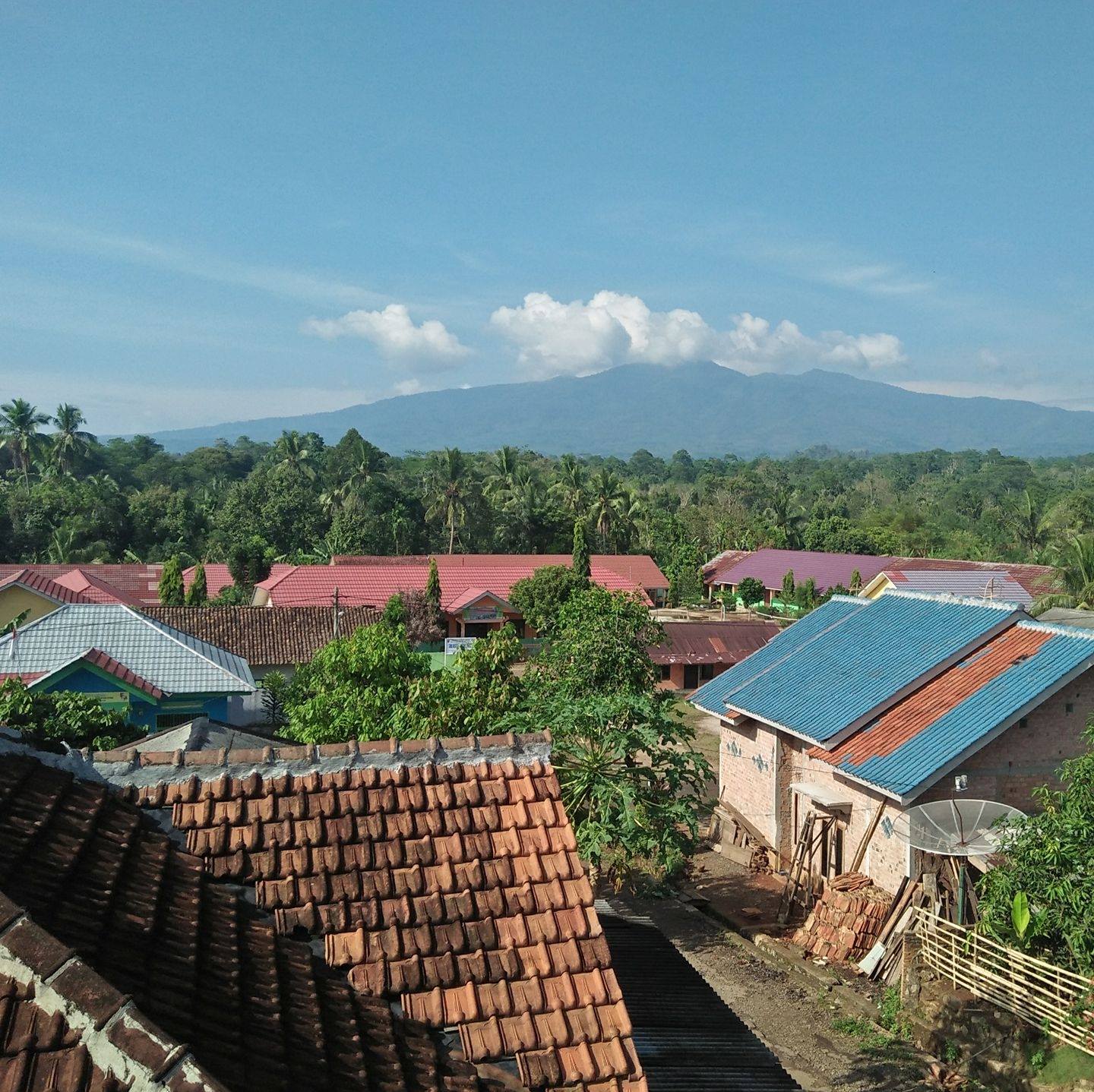 Ulak rengas | Bandar Lampung