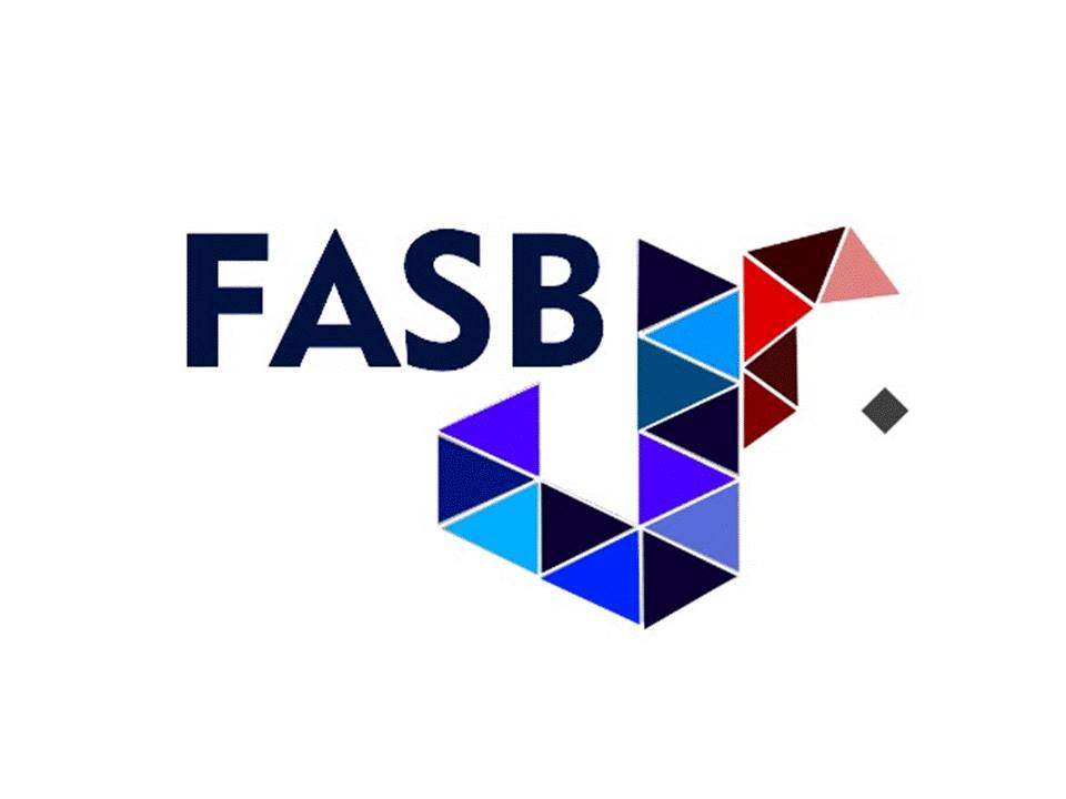 FASB Jr. | São Bernardo do Campo SP