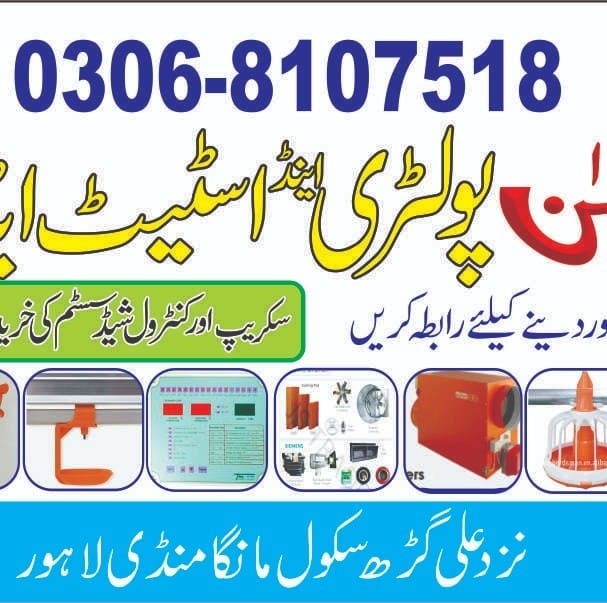 Drive your dream car with ease and... - Meezan Bank Limited | Facebook