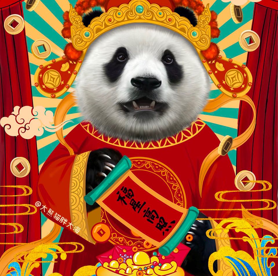 Những chiếc panda đáng yêu | Ho Chi Minh City