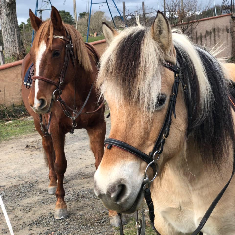 Kalvine de Lothier & Qattia Reves