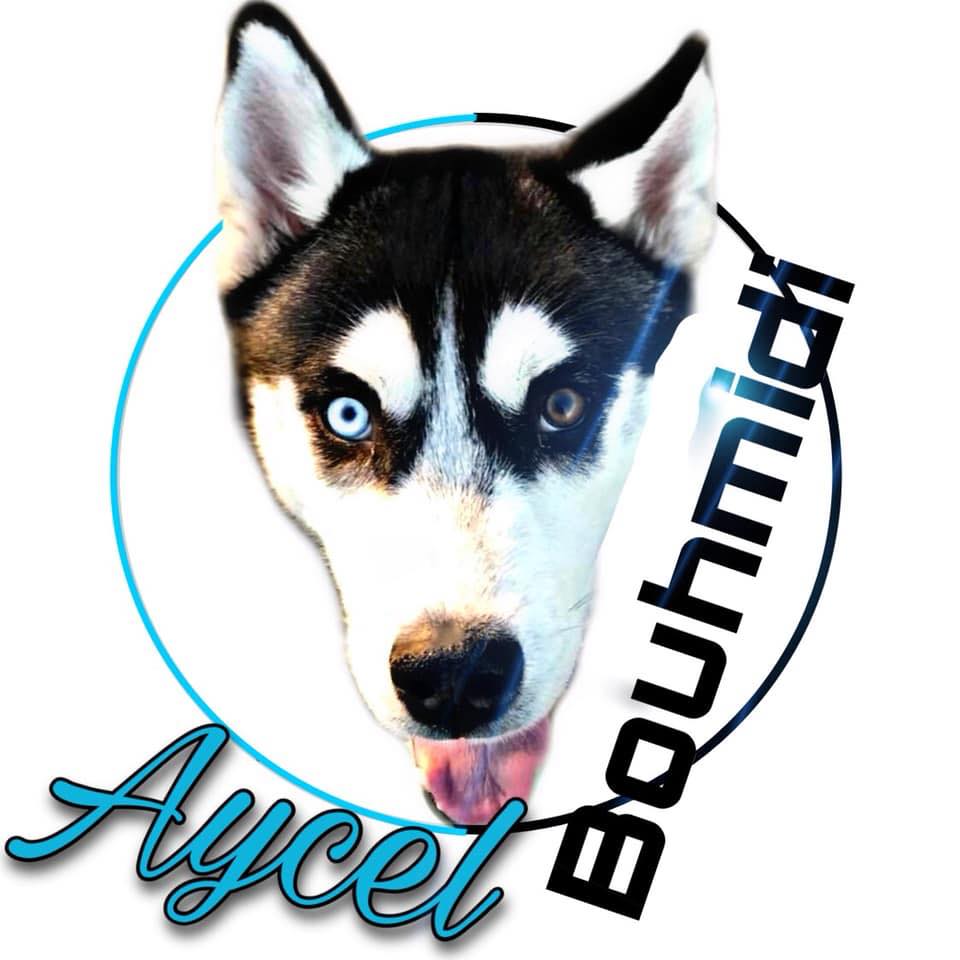 Aycel husky